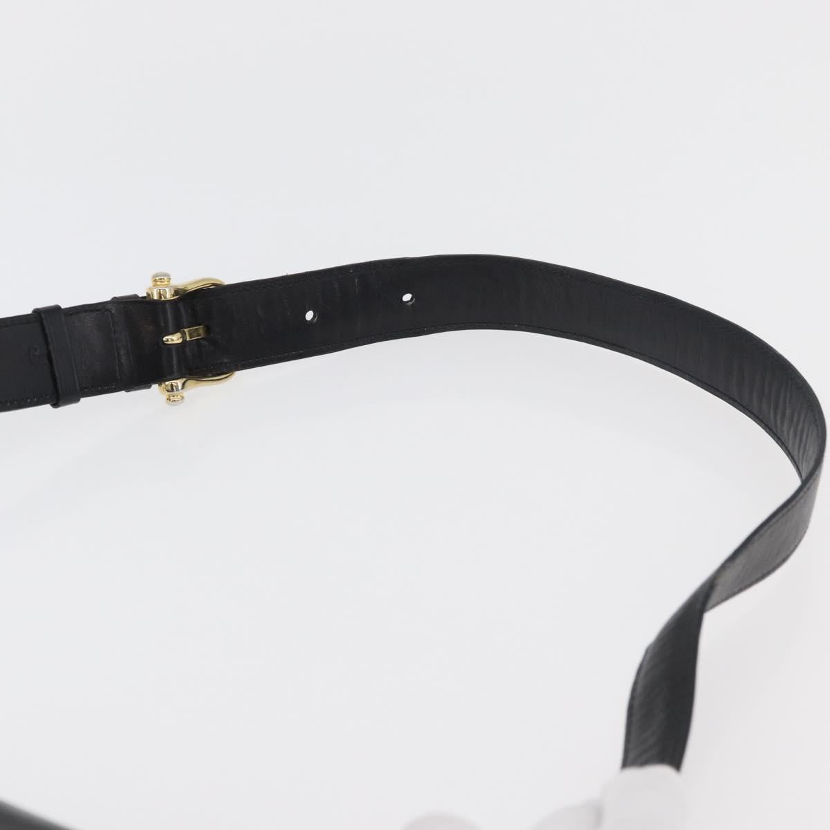 CELINE Shoulder Bag Leather Black Gold Auth 178275