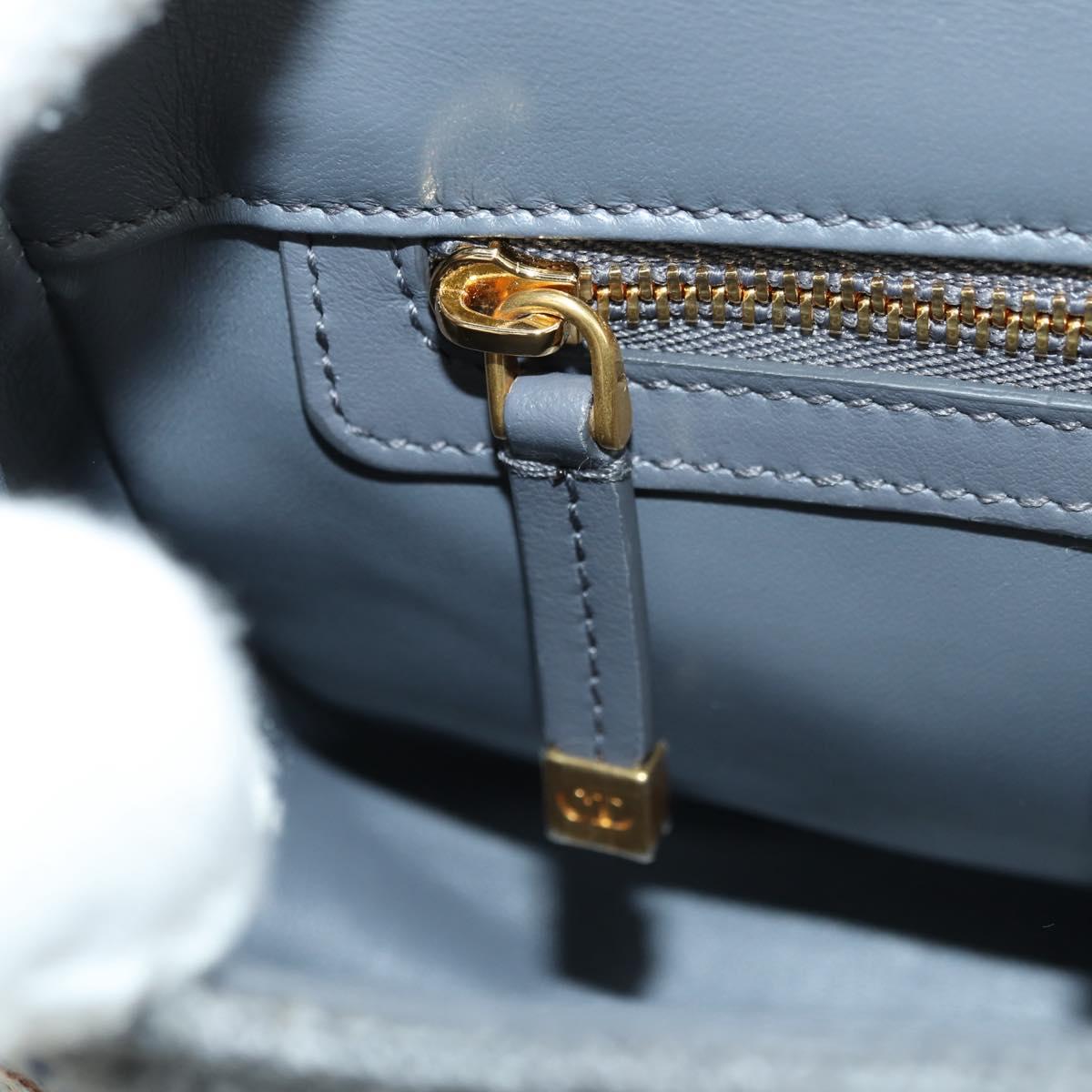 Christian Dior Caro Chain Shoulder Bag Canvas Gray Gold Auth 178529SAM