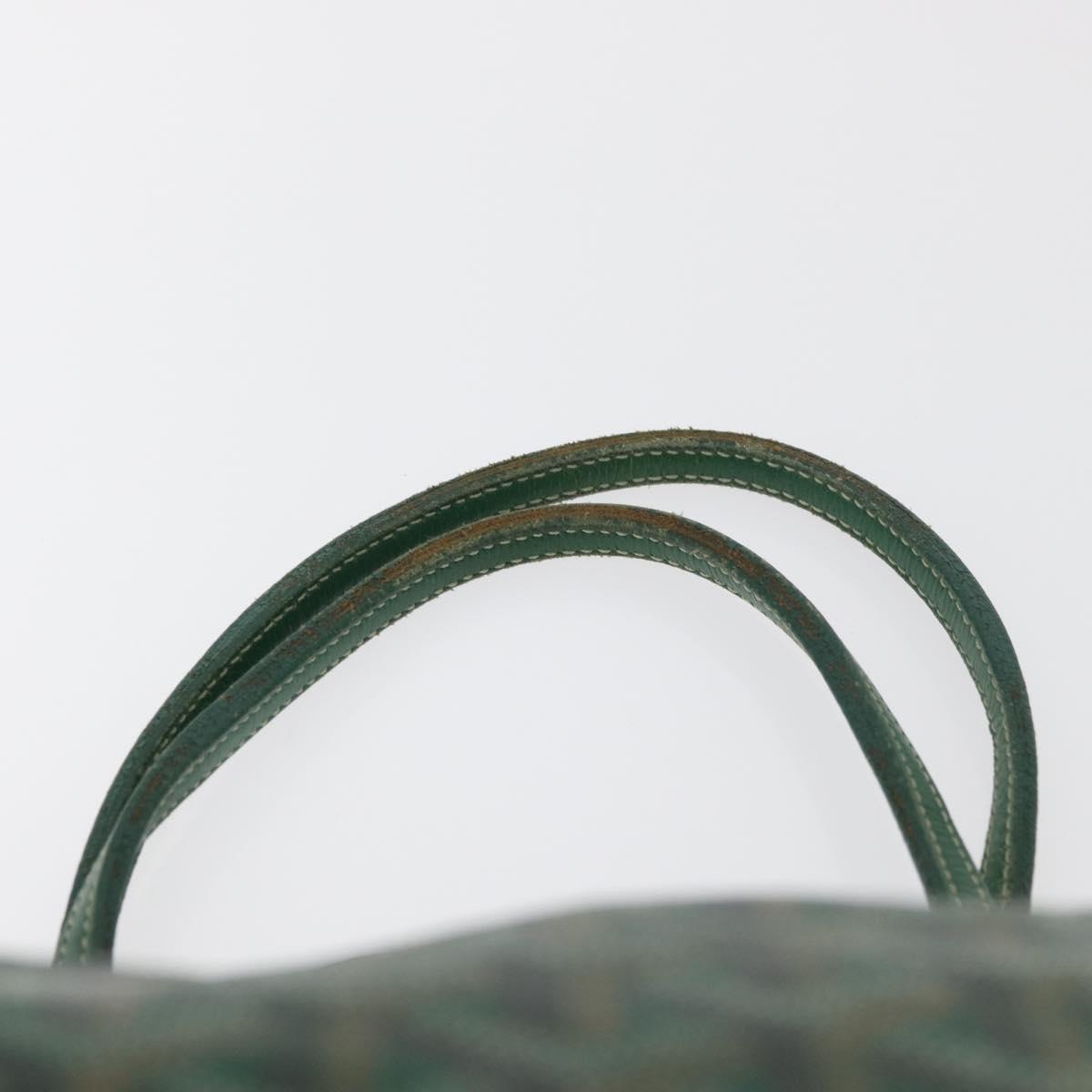 GOYARD Saint Louis PM Tote Bag PVC Green Auth 178611