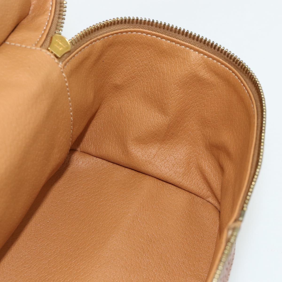 CELINE Macadam Canvas Vanity Hand Bag PVC Leather Brown Gold Auth 178930A