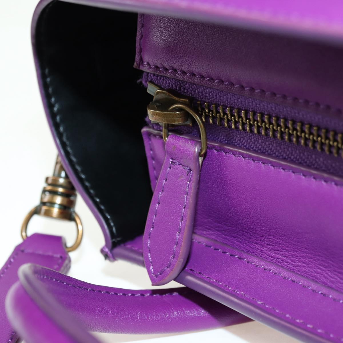 CELINE Luggage Micro Shopper Hand Bag Leather 2way Purple Gold Auth 179426SAV