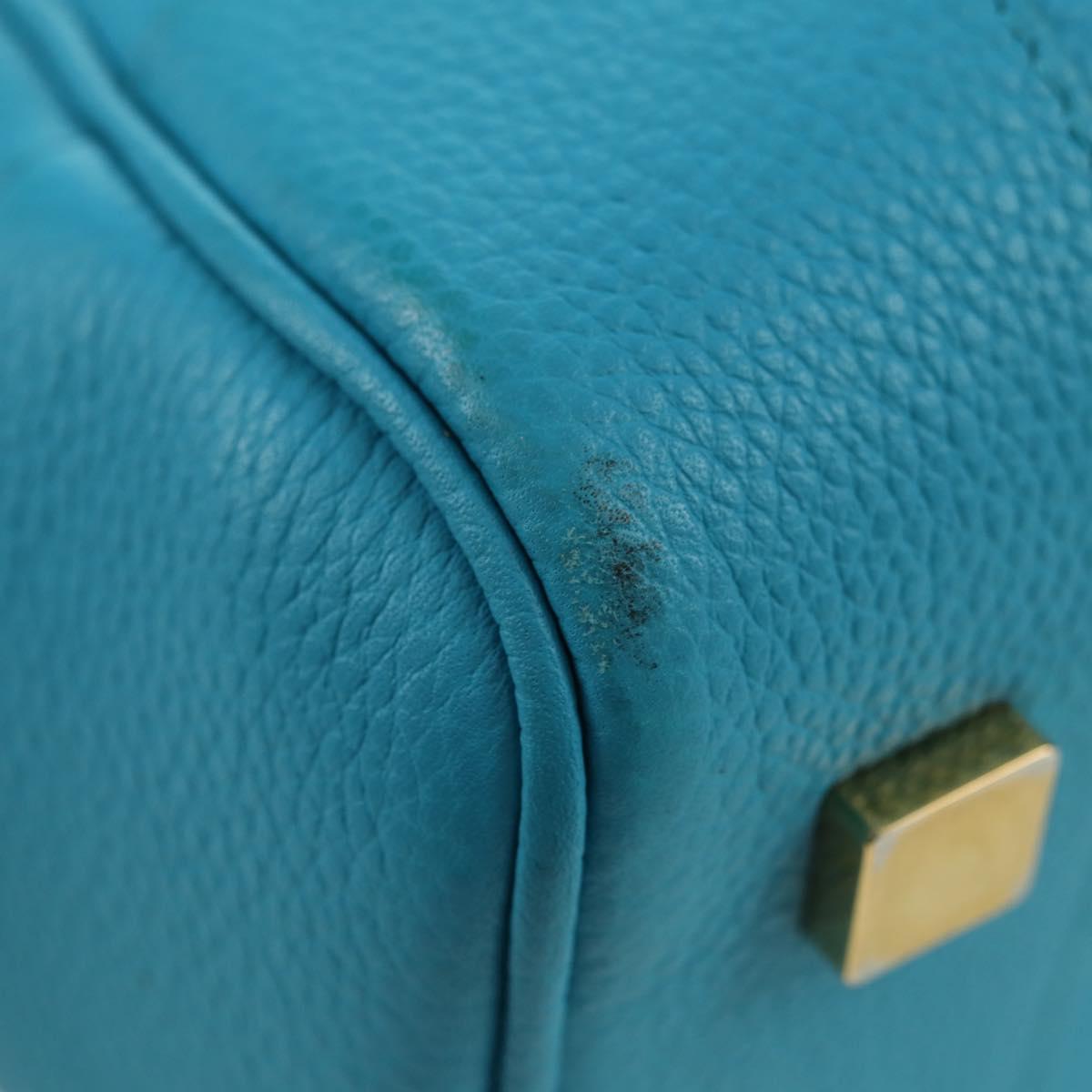 LOEWE Amazonas 23 Hand Bag Leather 2way Light Blue Gold Auth 179711V