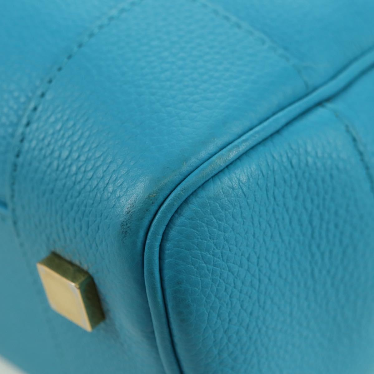 LOEWE Amazonas 23 Hand Bag Leather 2way Light Blue Gold Auth 179711V