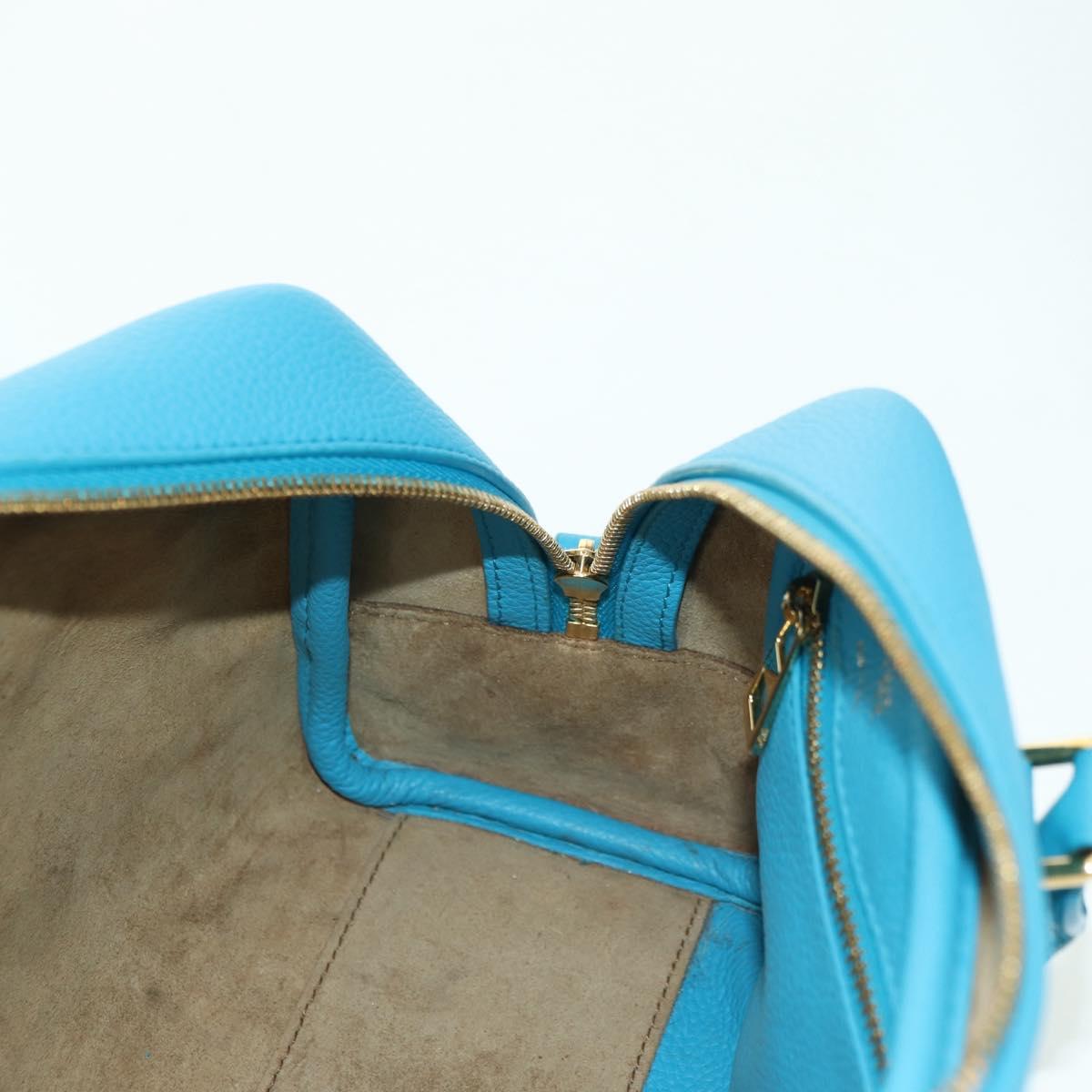 LOEWE Amazonas 23 Hand Bag Leather 2way Light Blue Gold Auth 179711V