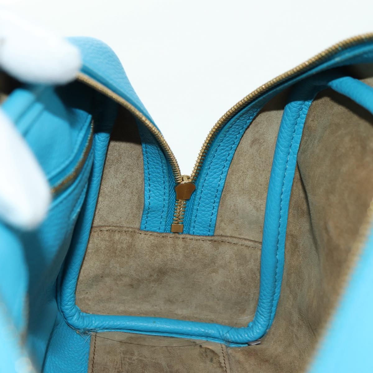 LOEWE Amazonas 23 Hand Bag Leather 2way Light Blue Gold Auth 179711V