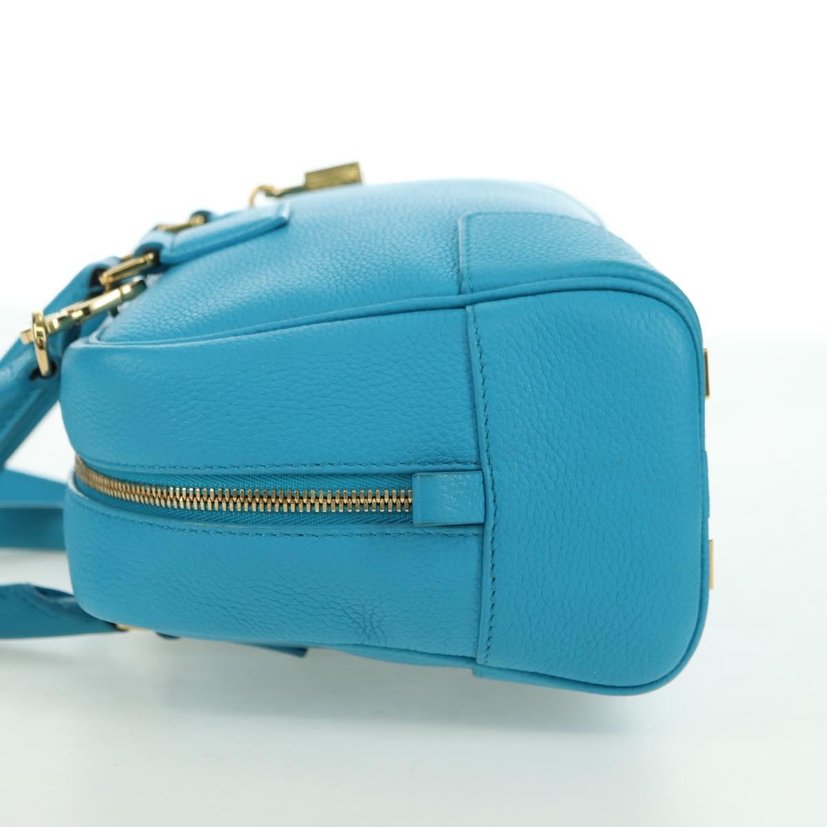 LOEWE Amazonas 23 Hand Bag Leather 2way Light Blue Gold Auth 179711V