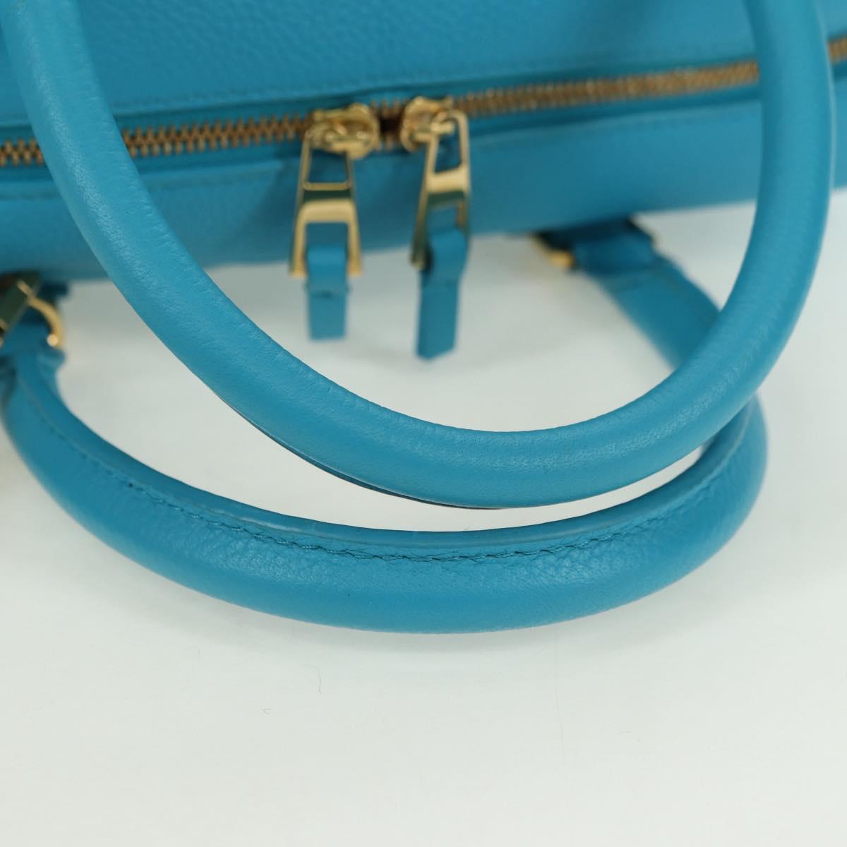 LOEWE Amazonas 23 Hand Bag Leather 2way Light Blue Gold Auth 179711V