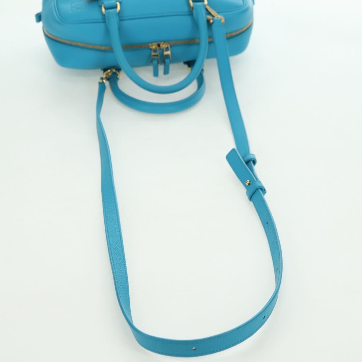 LOEWE Amazonas 23 Hand Bag Leather 2way Light Blue Gold Auth 179711V