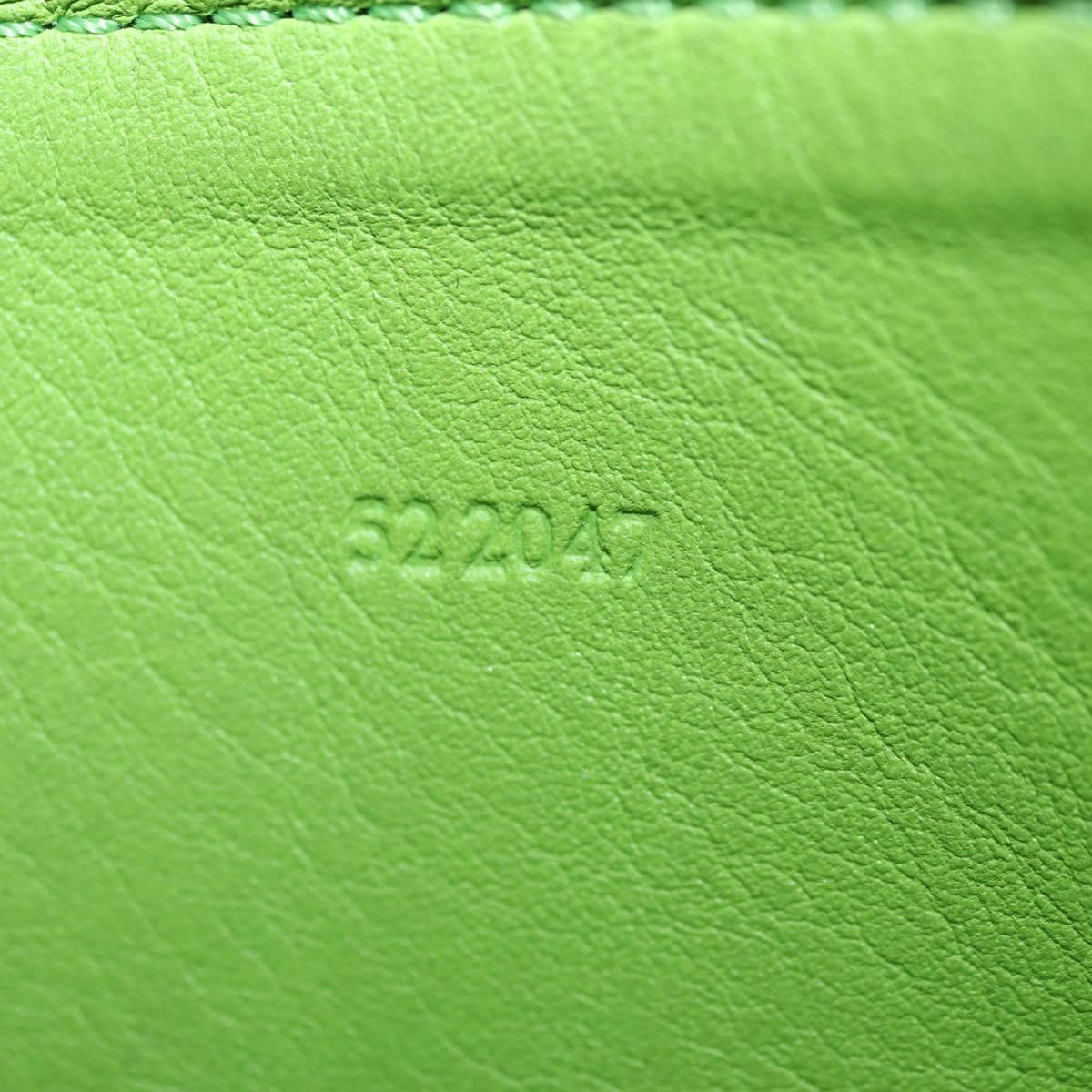 LOEWE Fragment Case My Neighbor Totoro Leather Green Silver Auth 181483SM