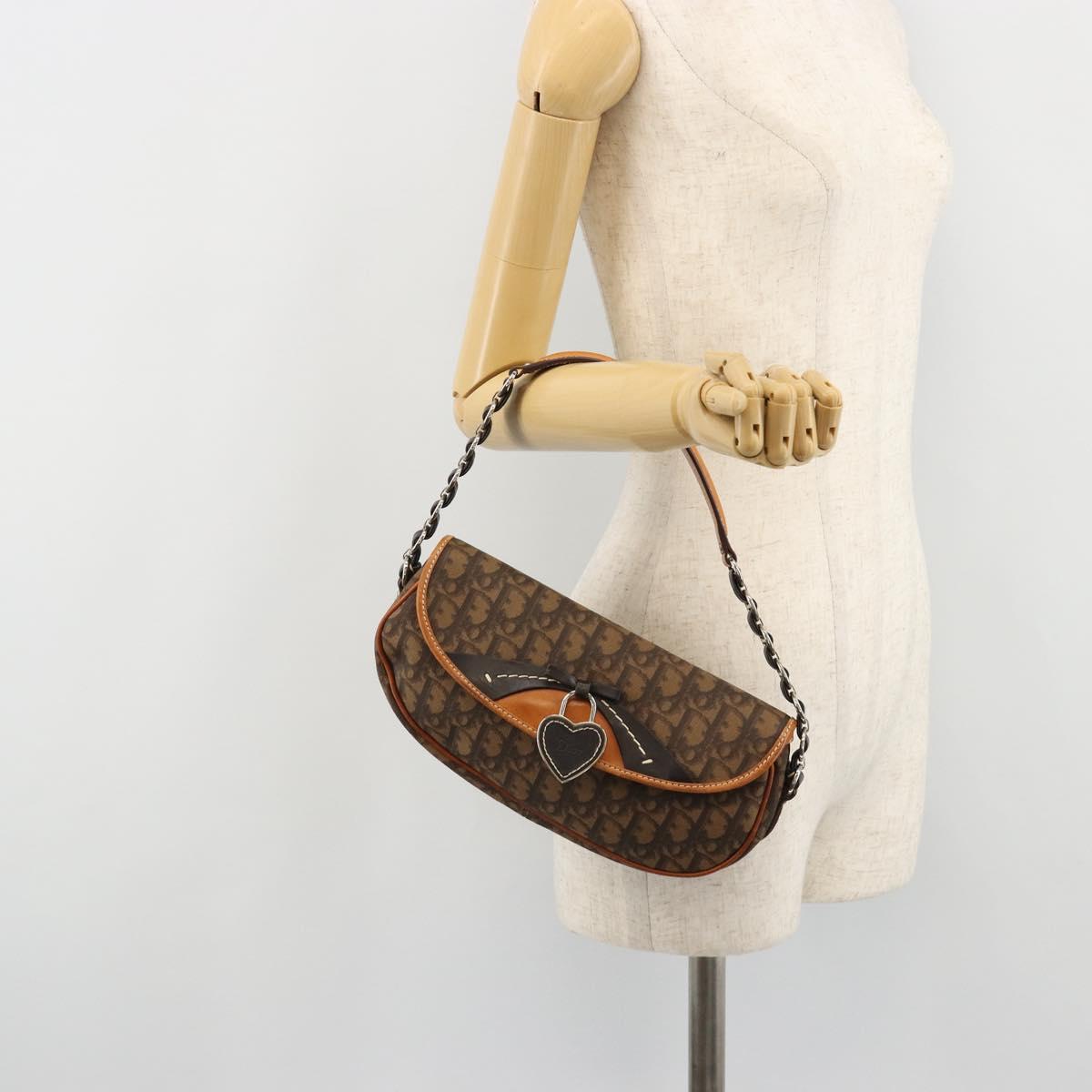 Christian Dior Trotter Canvas Romantic Bag PVC Brown Silver Auth 181891V
