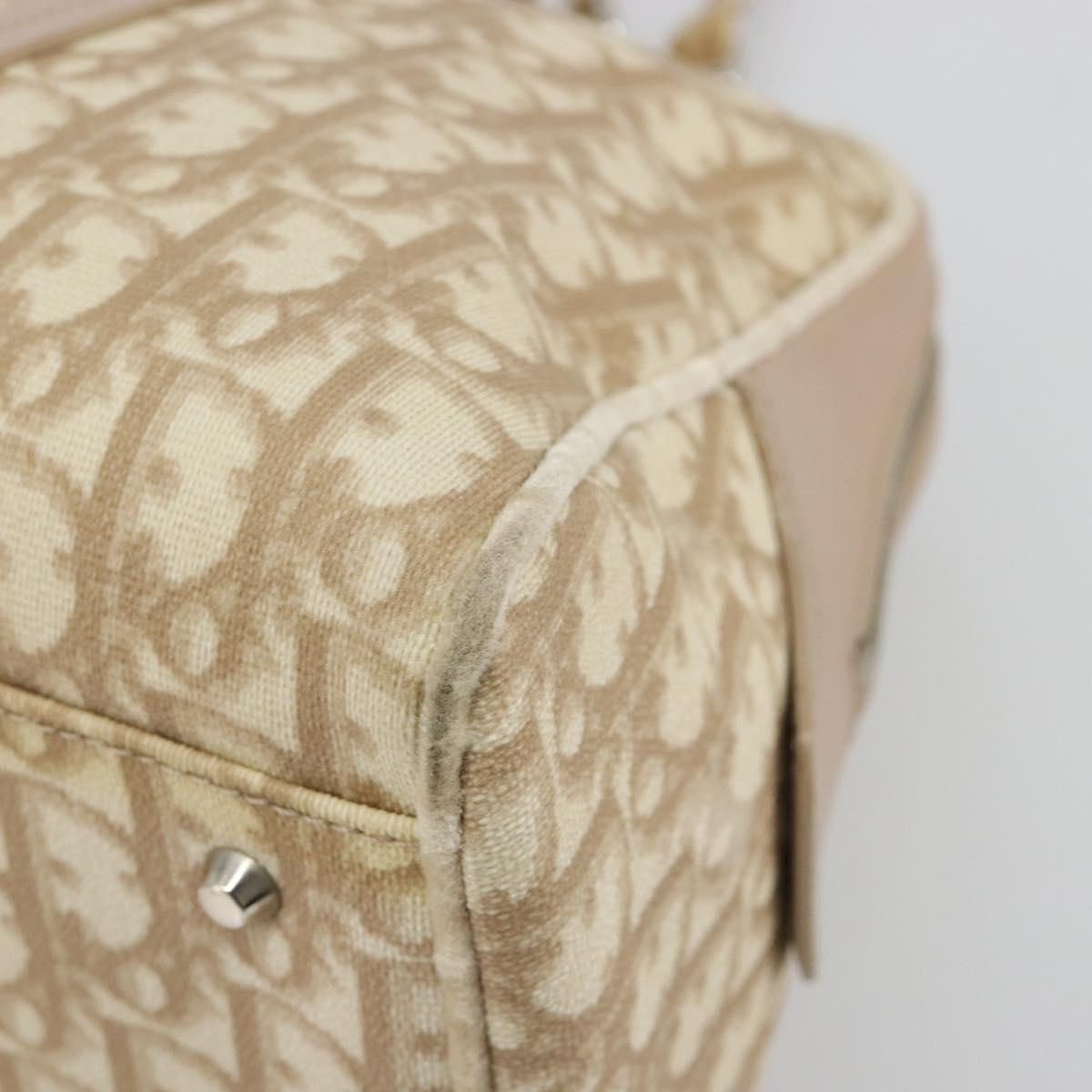 Christian Dior Trotter Canvas Romantic Hand Bag PVC Beige Silver Auth 182103