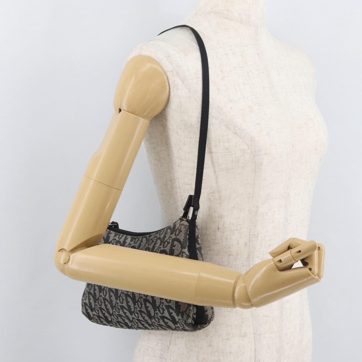 Christian Dior Trotter Canvas Accessory Pouch Gray Silver Auth 182611SAV