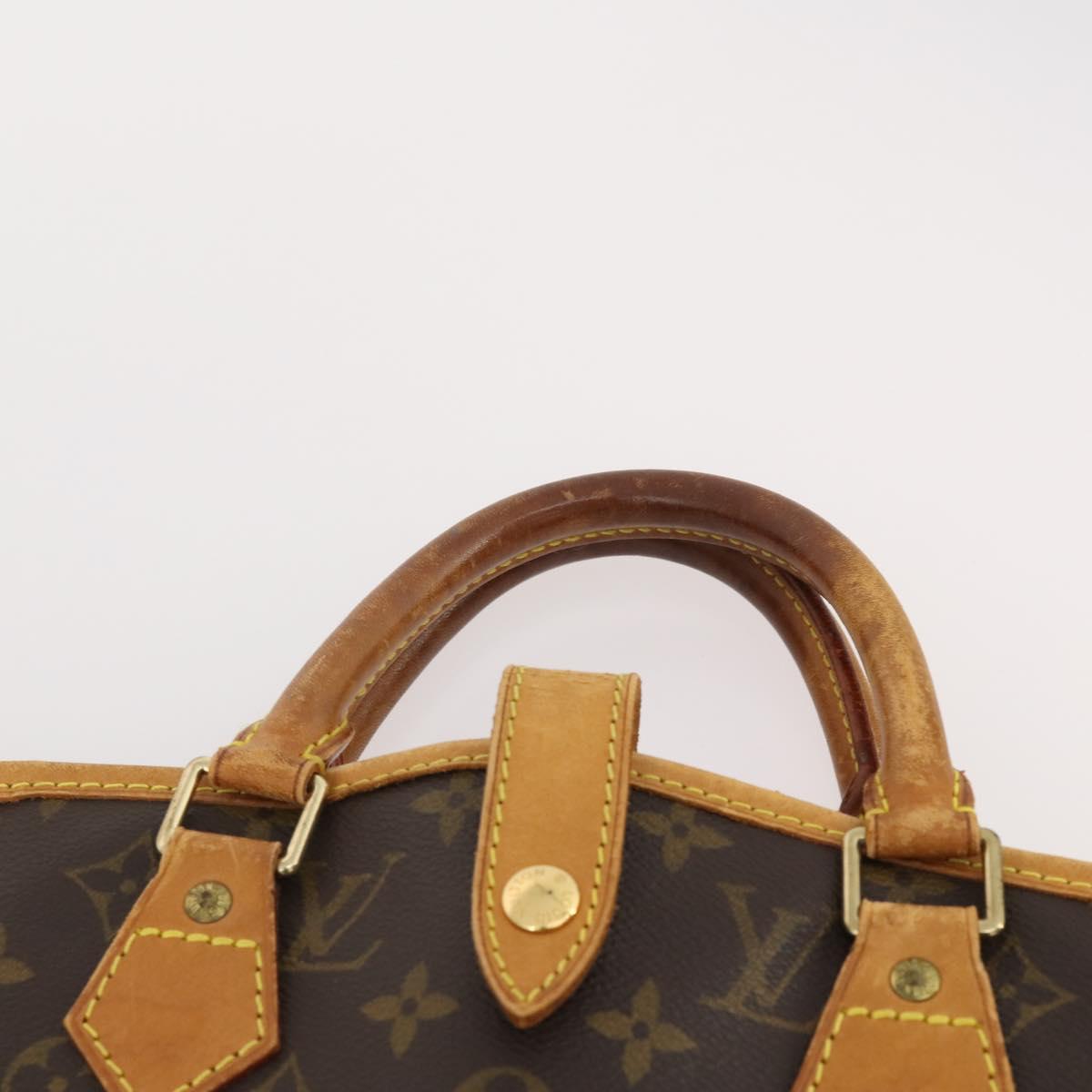 LOUIS VUITTON Monogram Housse Porte Habits Garment Cover M23434 LV Auth 182730