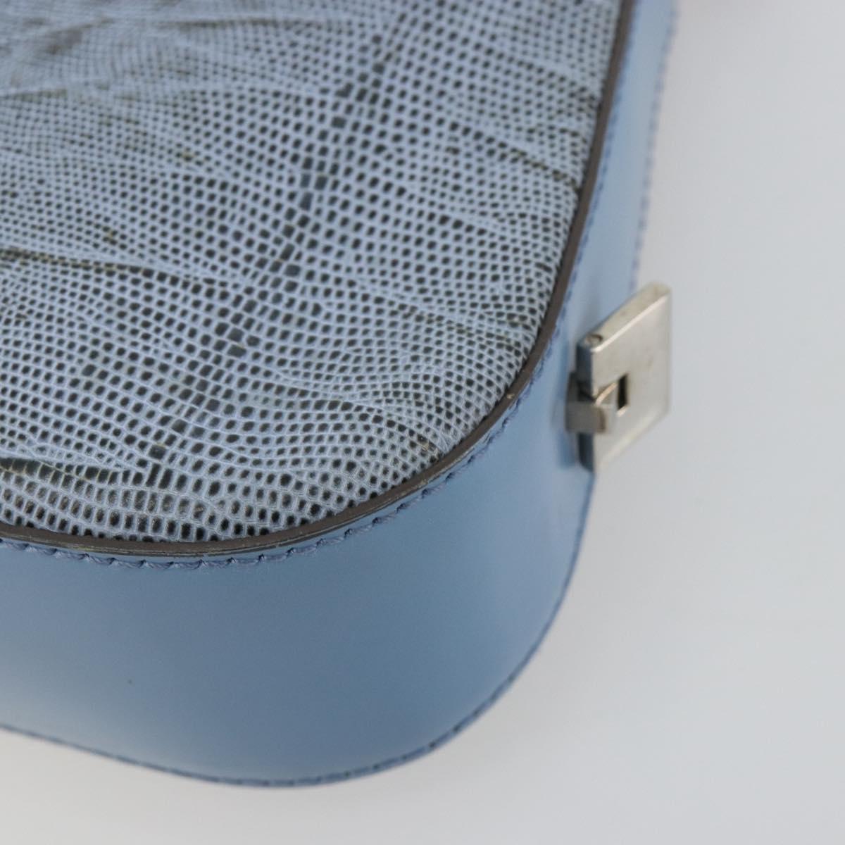 Salvatore Ferragamo Accessory Pouch Python Embossed Light Blue Auth 182999A