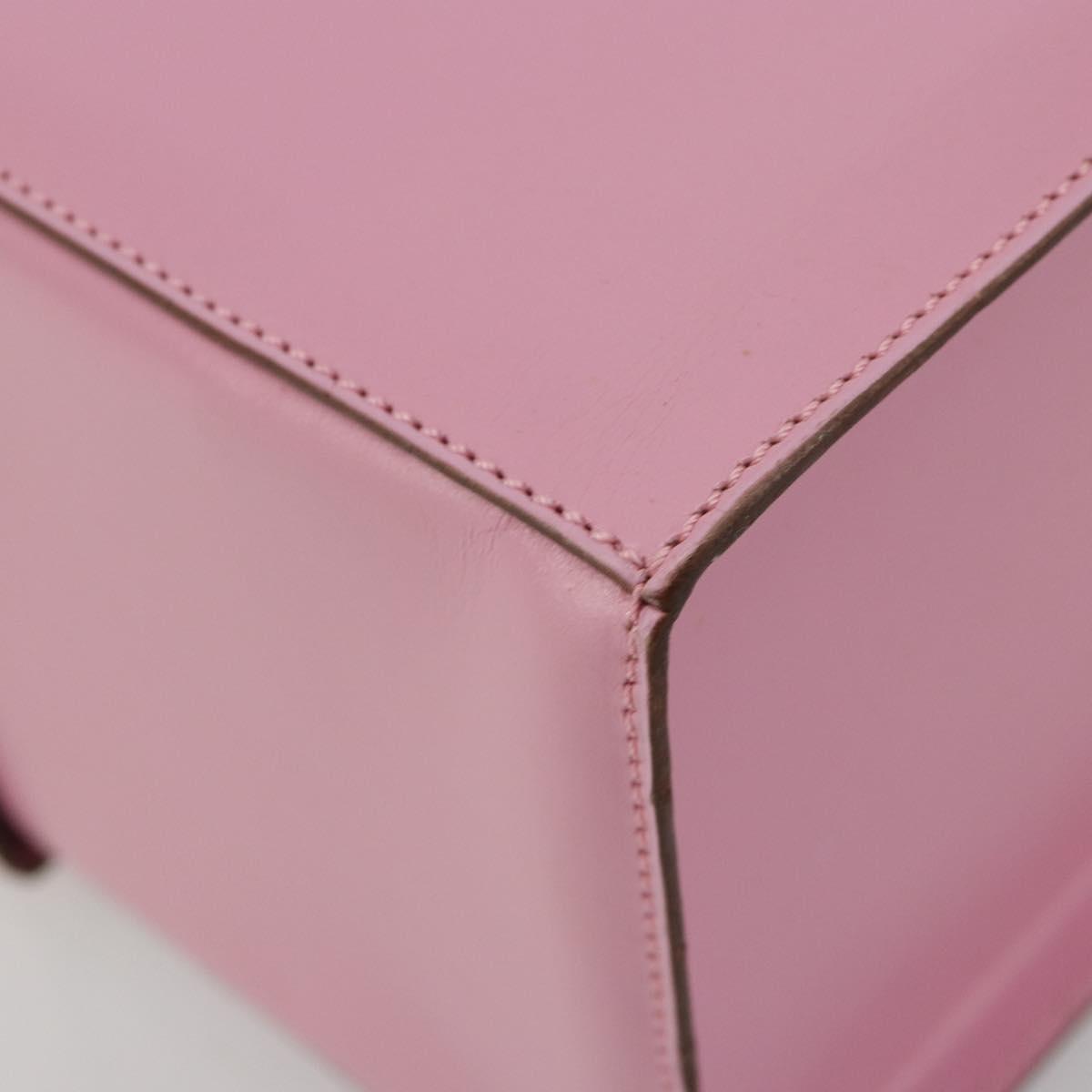 CELINE Vanity Shoulder Bag Leather 2way Gold Pink Auth 183776A