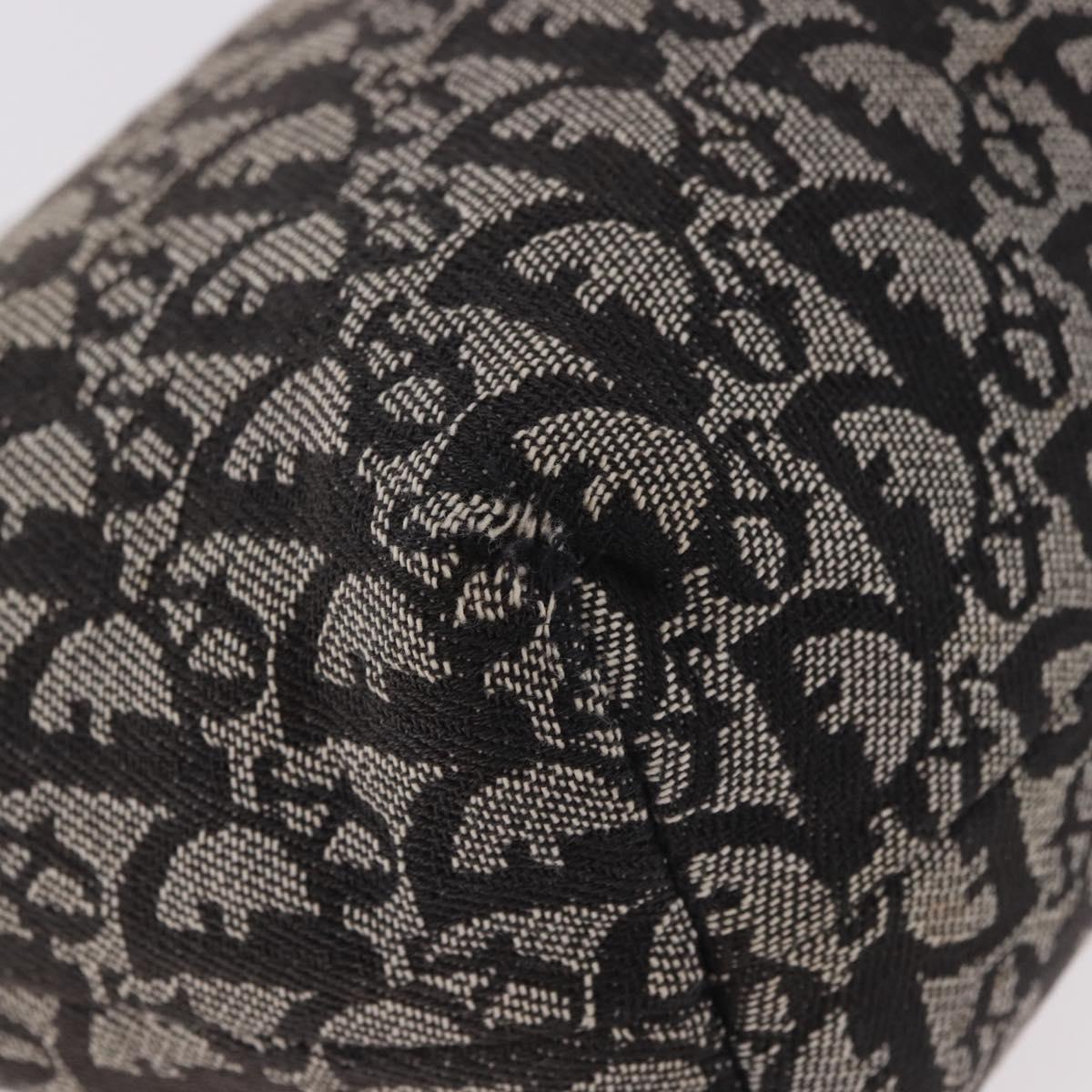 Christian Dior Trotter Canvas Hand Bag Black Silver Auth 183978