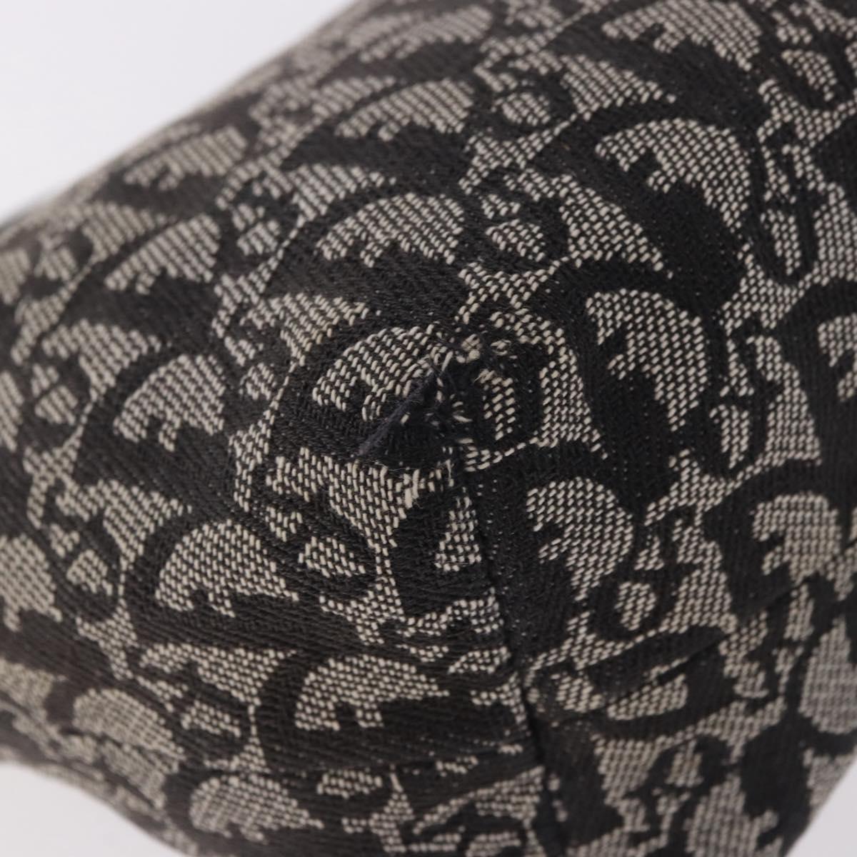 Christian Dior Trotter Canvas Hand Bag Black Silver Auth 183978