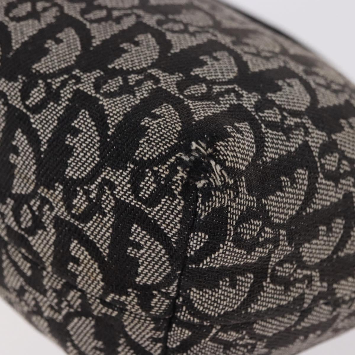 Christian Dior Trotter Canvas Hand Bag Black Silver Auth 183978