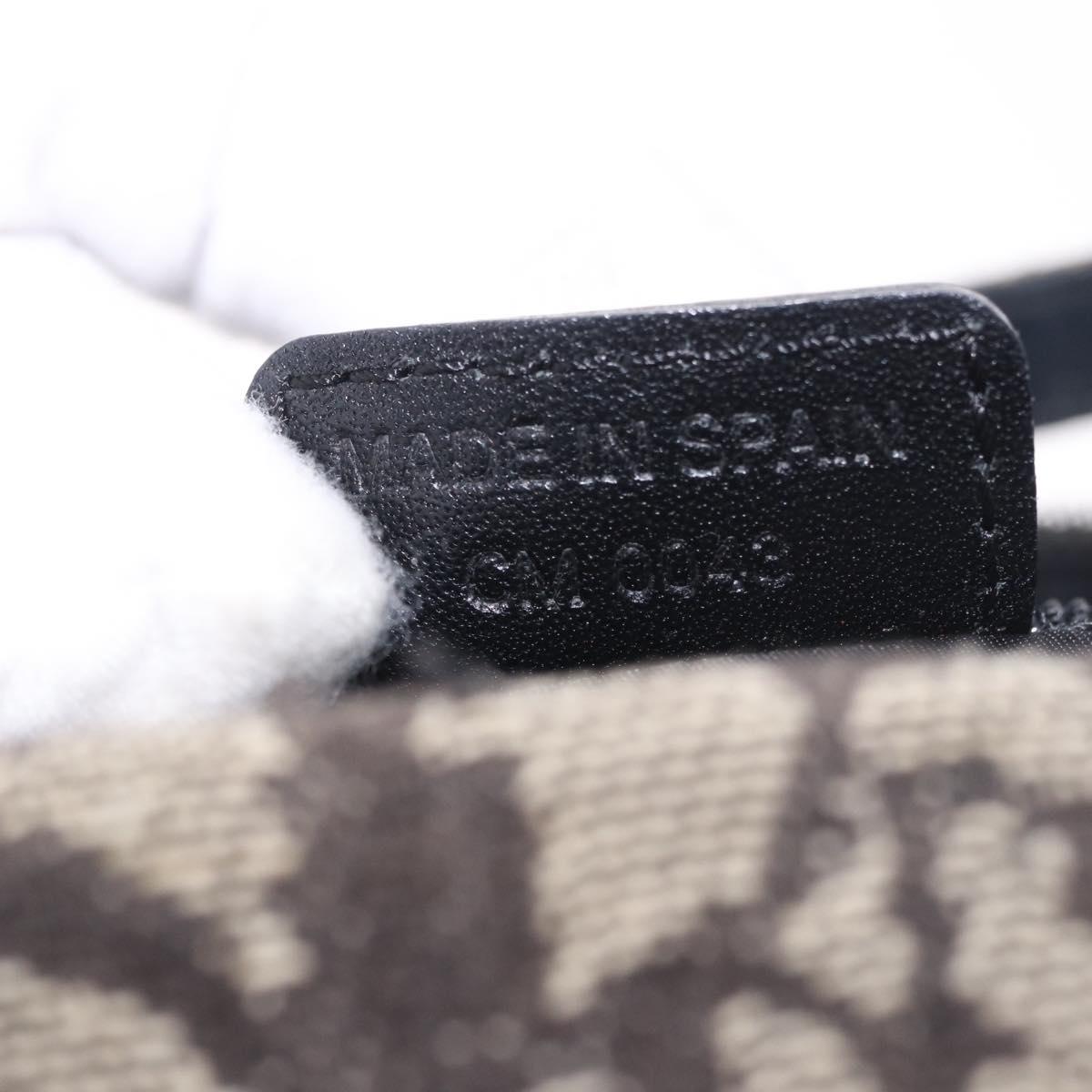 Christian Dior Trotter Canvas Hand Bag Black Silver Auth 183978