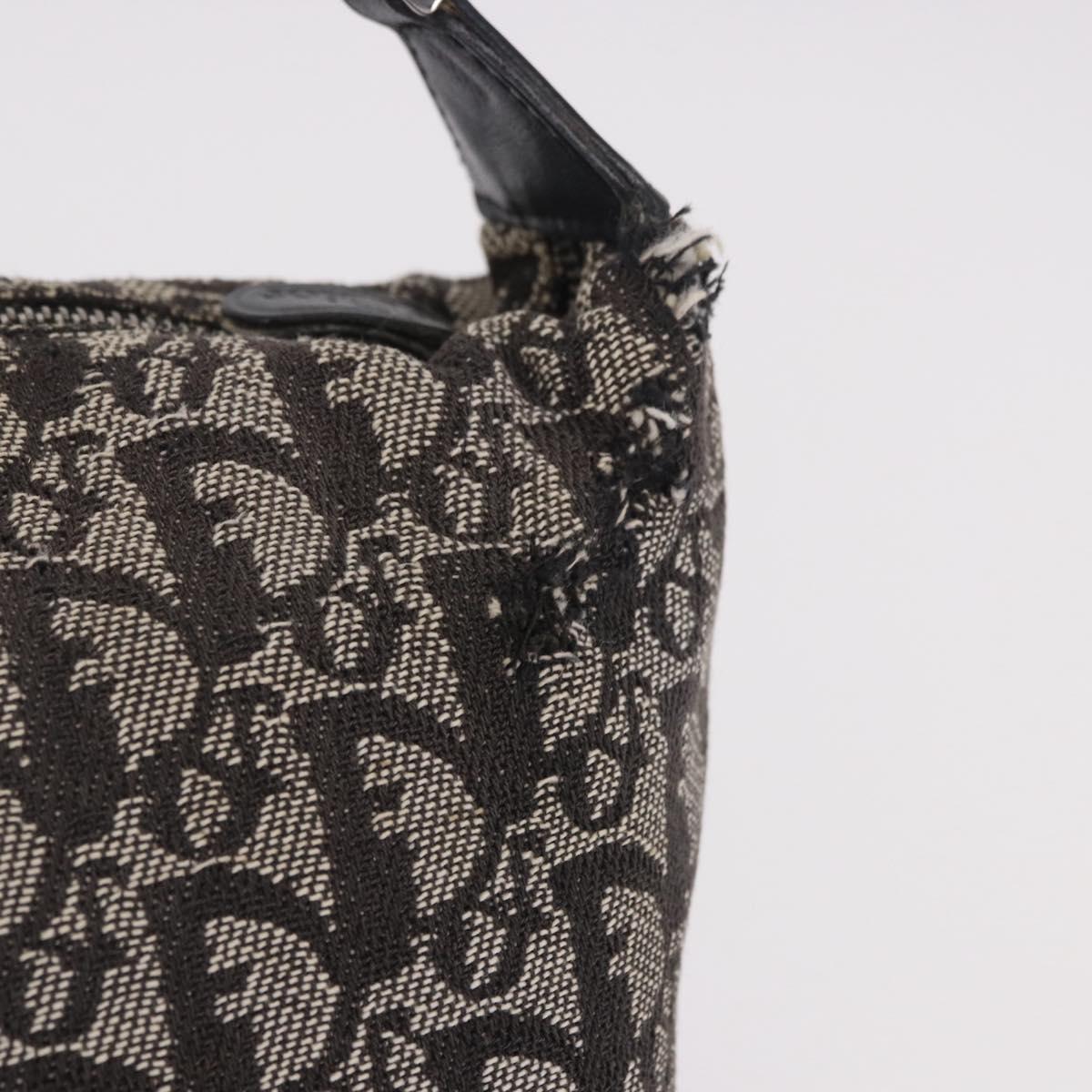 Christian Dior Trotter Canvas Hand Bag Black Silver Auth 183978