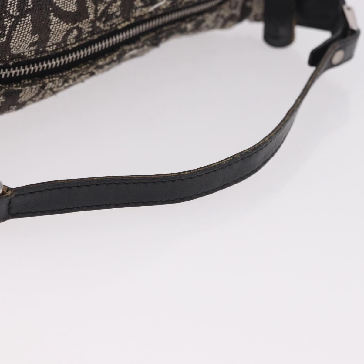 Christian Dior Trotter Canvas Hand Bag Black Silver Auth 183978