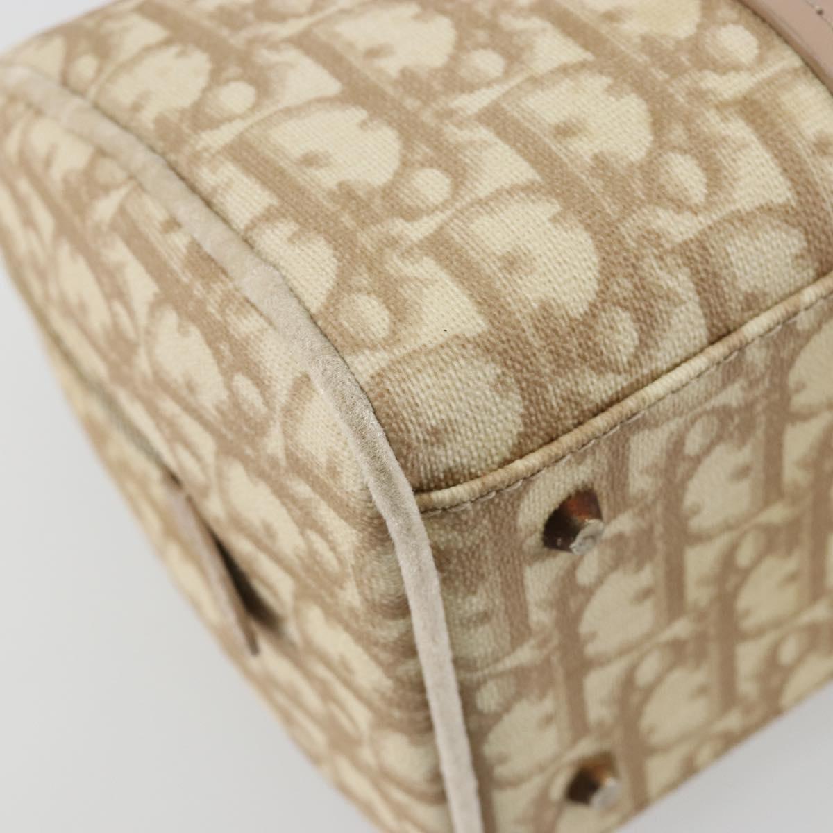 Christian Dior Trotter Canvas Romantic Chain Bag PVC Ivory Silver Auth 184736