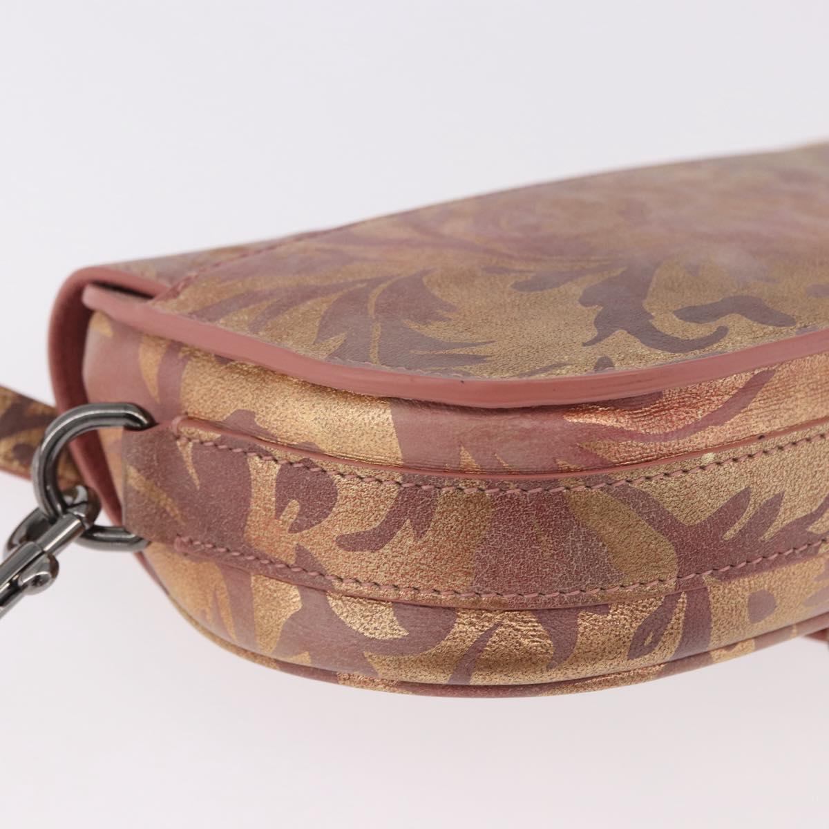 Christian Dior BOBBY EAST-WEST Shoulder Bag Leather Bronze Silver Auth 184842SM
