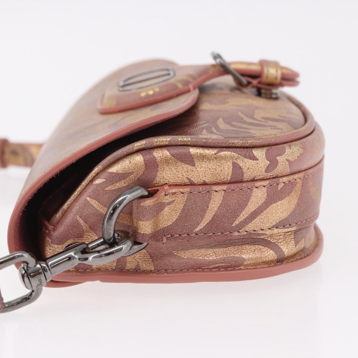 Christian Dior BOBBY EAST-WEST Shoulder Bag Leather Bronze Silver Auth 184842SM