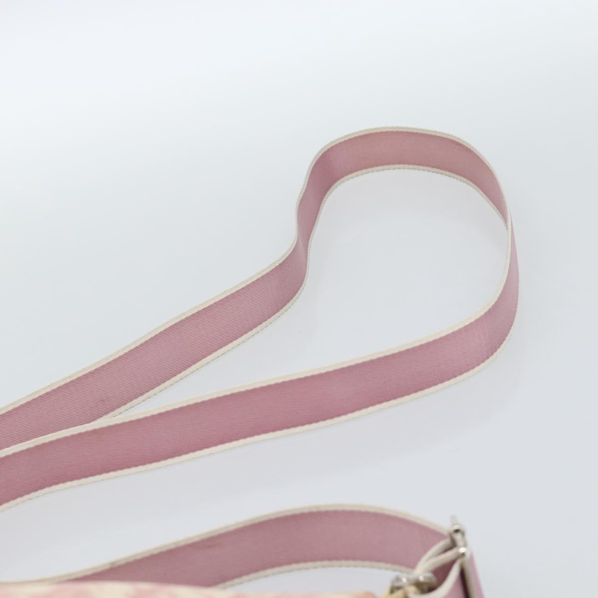 Christian Dior Trotter Canvas Shoulder Bag PVC Pink Silver Auth 184929