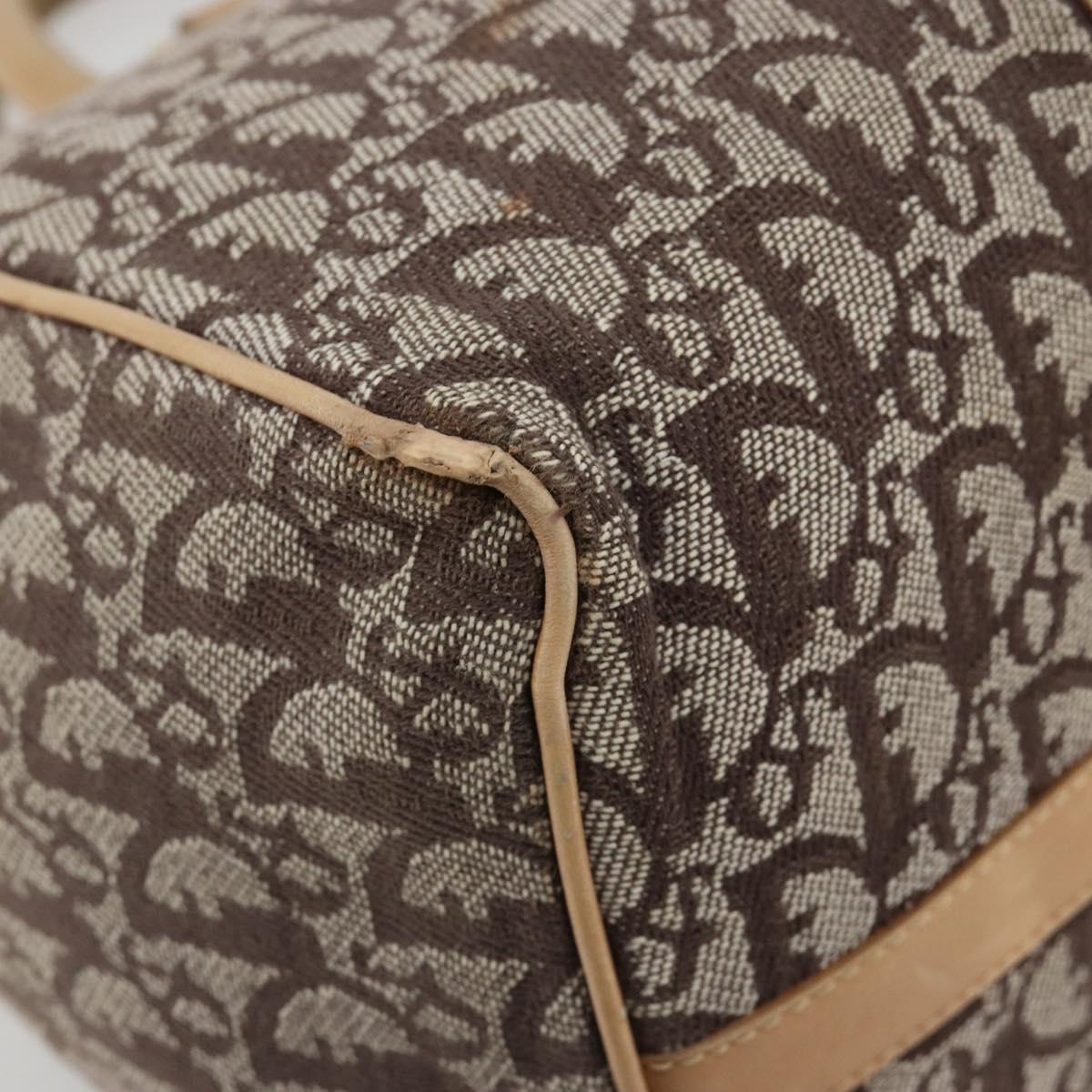 Christian Dior Trotter Canvas Hand Bag Brown Gold Auth 185139