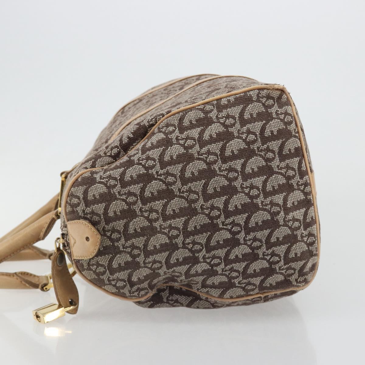 Christian Dior Trotter Canvas Hand Bag Brown Gold Auth 185139