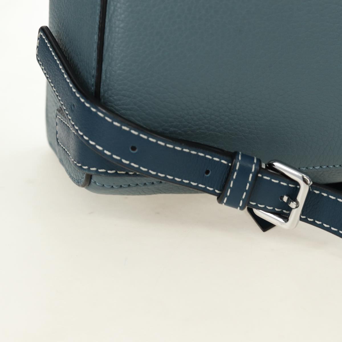 LOEWE Dumbo Goya Disney Collaboration Backpack Leather Silver Blue Auth 185303SAM