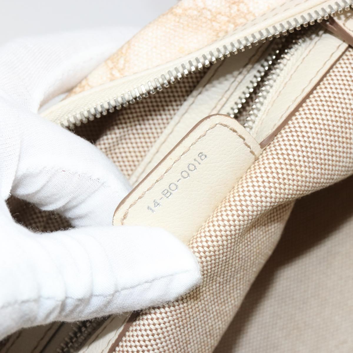 Christian Dior Panarea Hand Bag Canvas Ivory Silver Auth 185536A
