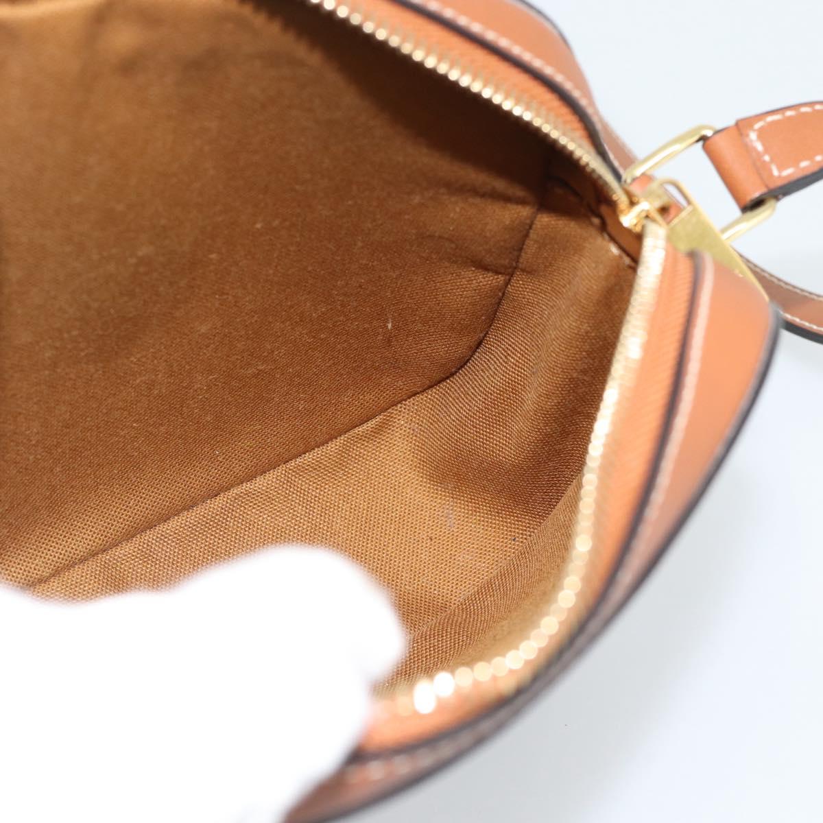 CELINE Triomphe Shoulder Bag PVC Black Gold Auth 186226M