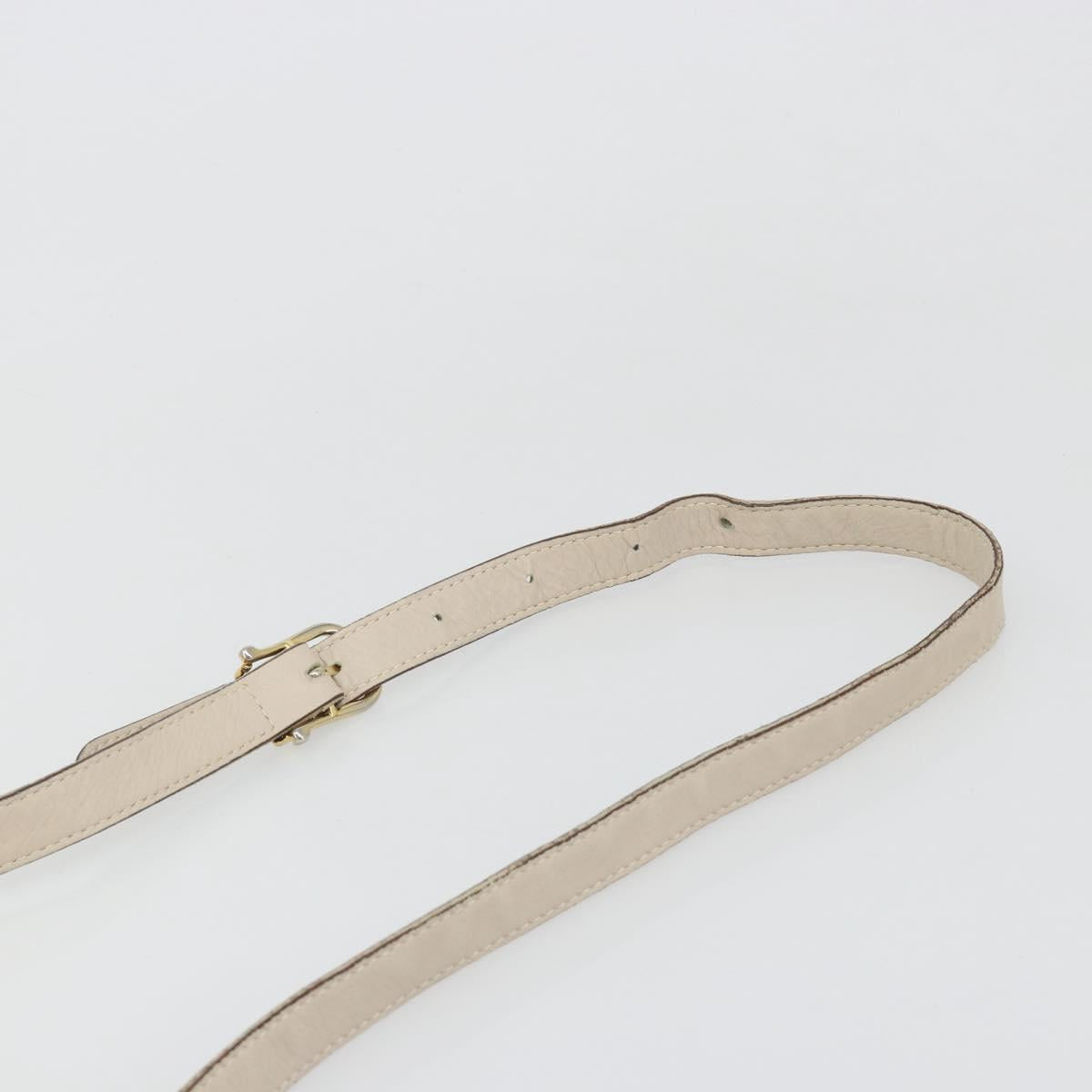 CELINE Shoulder Bag Leather Ivory Gold Auth 187413A