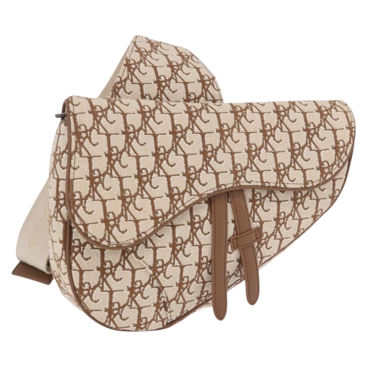 Christian Dior Trotter Canvas Saddle Shoulder Bag Beige Silver Auth 187508SAM