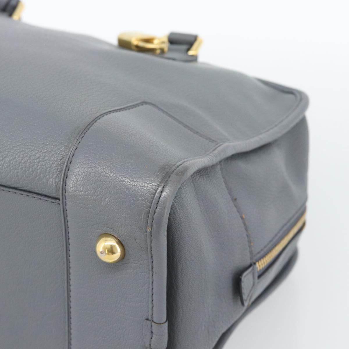 LOEWE Amazona 36 Hand Bag Leather Gray Gold Auth 187619V