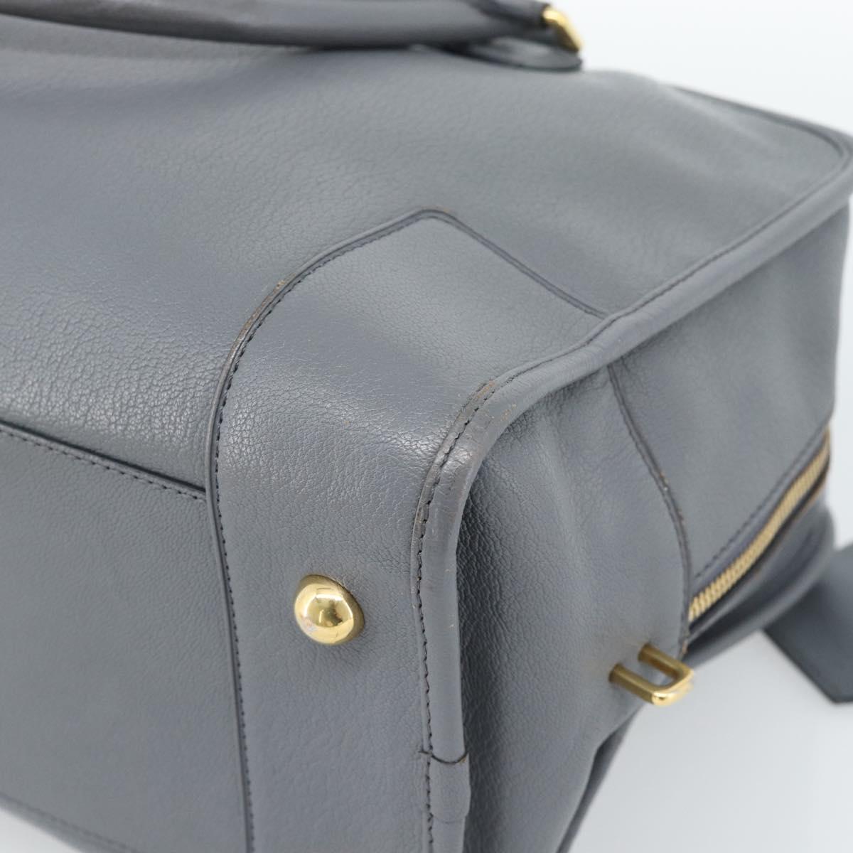 LOEWE Amazona 36 Hand Bag Leather Gray Gold Auth 187619V