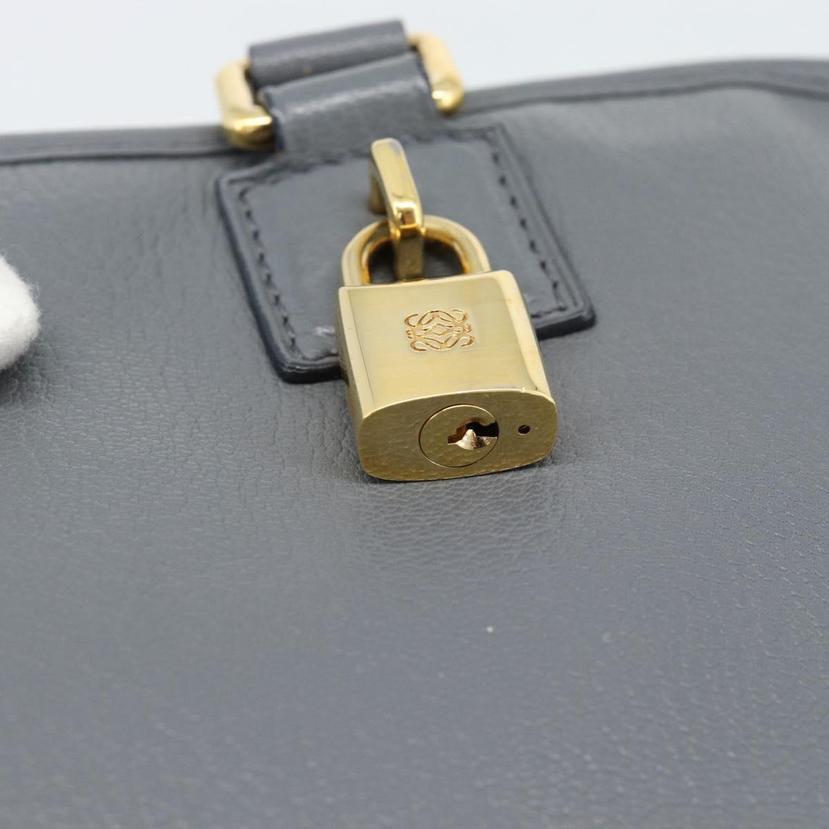 LOEWE Amazona 36 Hand Bag Leather Gray Gold Auth 187619V