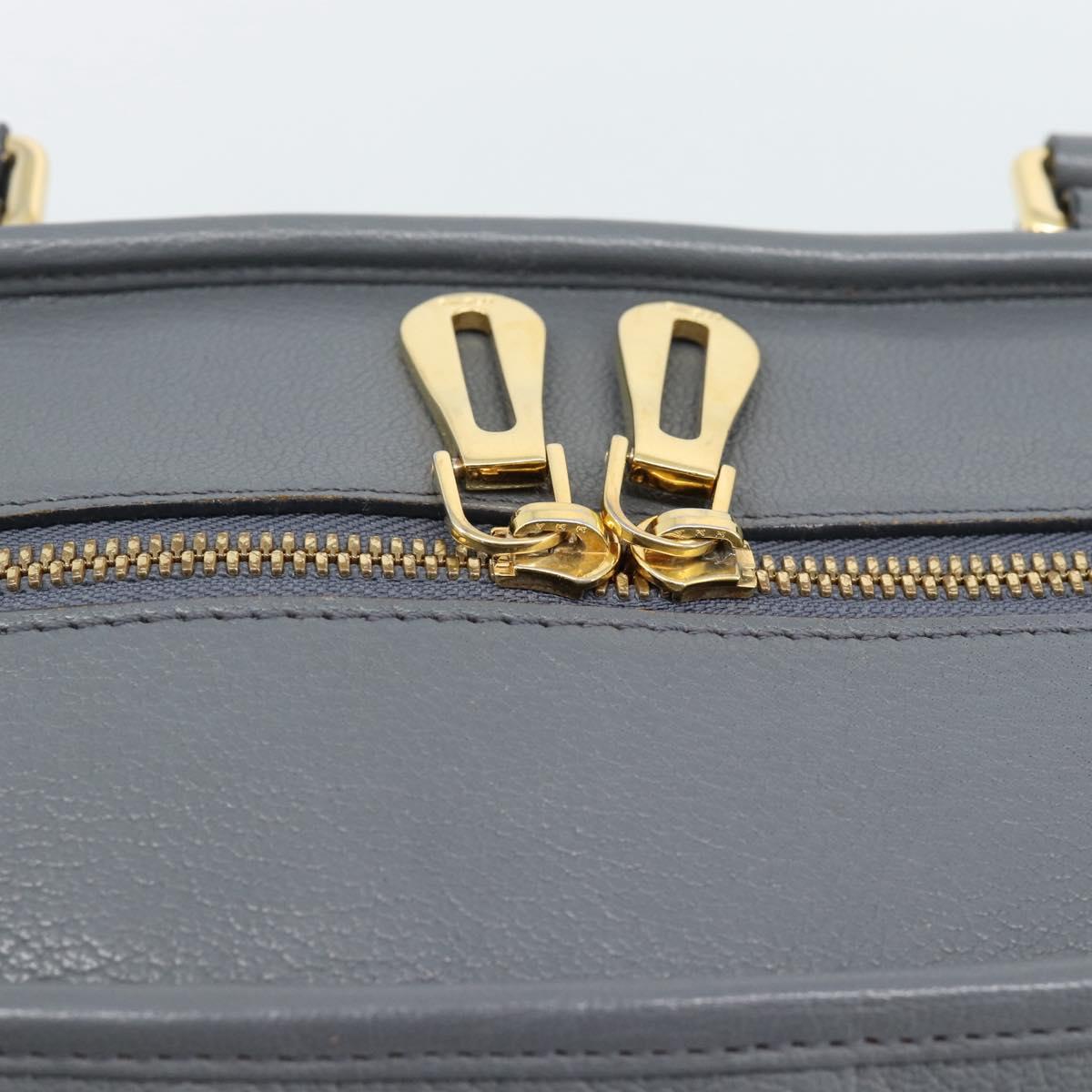 LOEWE Amazona 36 Hand Bag Leather Gray Gold Auth 187619V