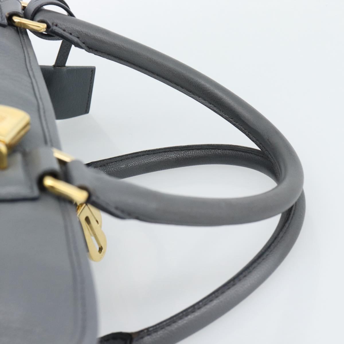 LOEWE Amazona 36 Hand Bag Leather Gray Gold Auth 187619V