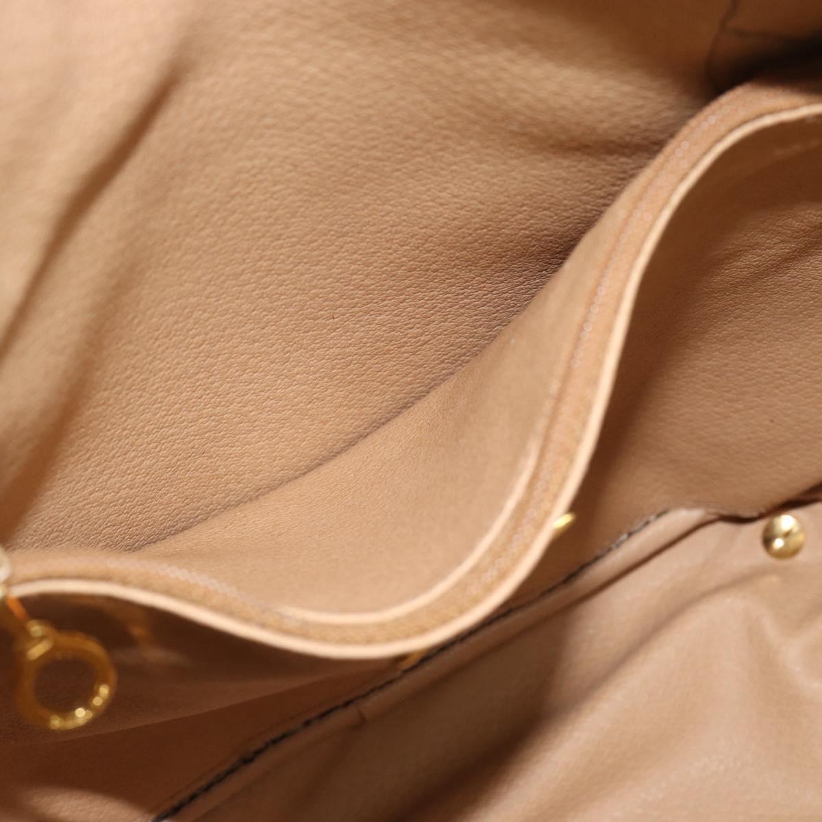 Christian Dior Trotter Canvas Hand Bag PVC Black Gold Auth 188382