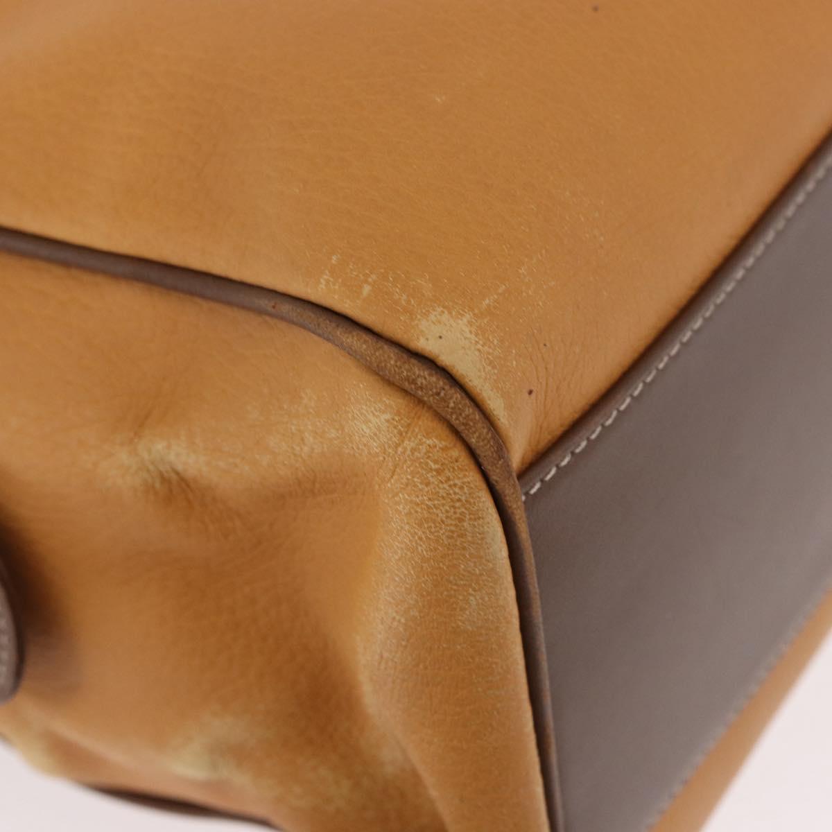 LOEWE Anagram Hand Bag Leather Yellow Gold Auth 188471A