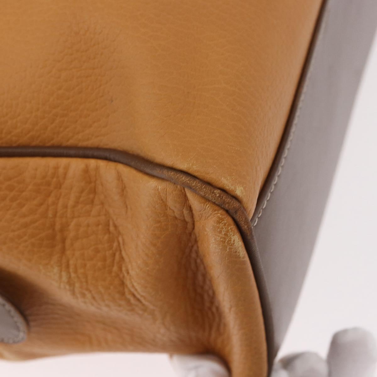 LOEWE Anagram Hand Bag Leather Yellow Gold Auth 188471A