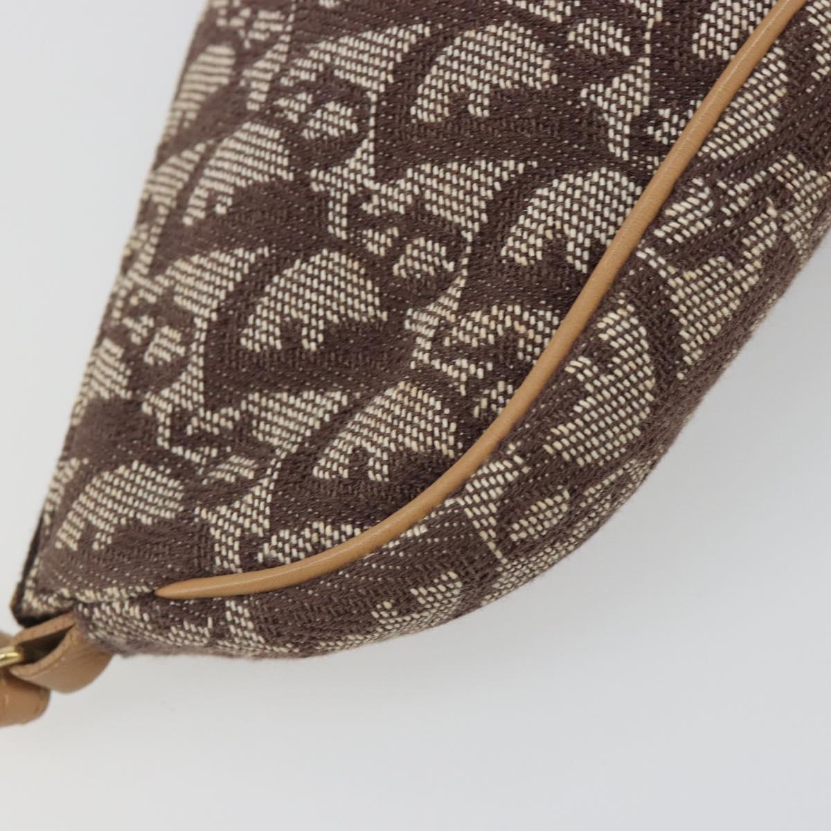 Christian Dior Trotter Canvas Saddle Accessory Pouch Brown Gold Auth 188760V