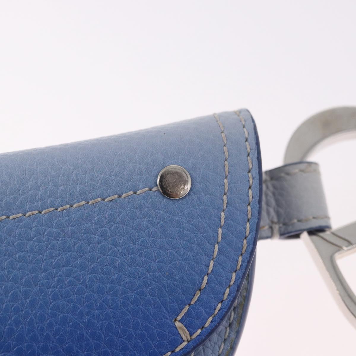 Christian Dior Saddle Pouch Leather Light Blue Silver Auth 188996