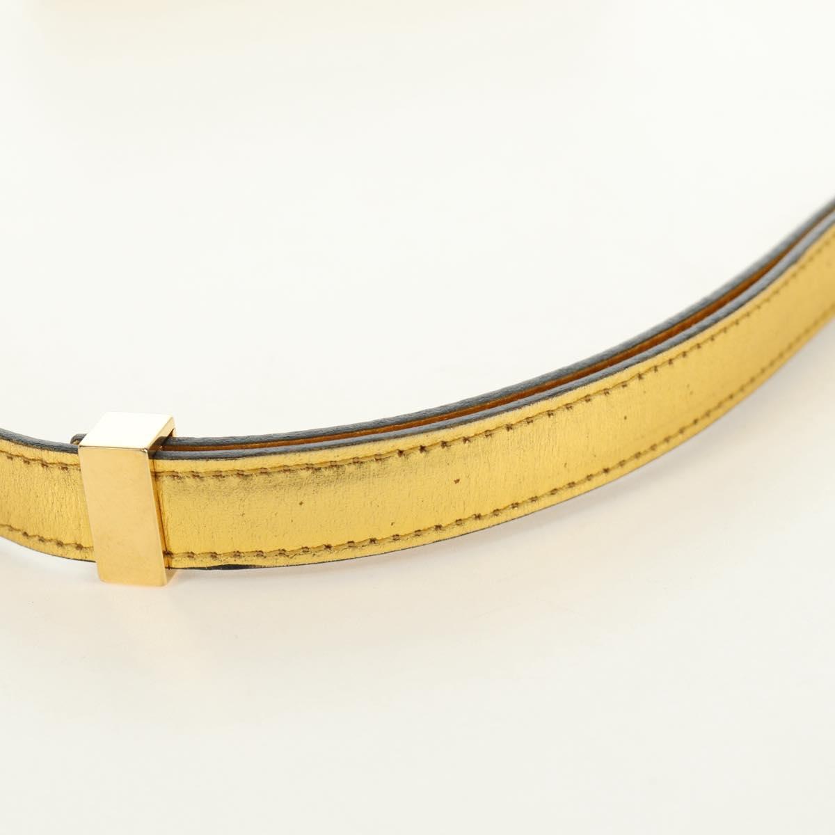 CELINE Shoulder Bag Leather Gold Auth 189106M