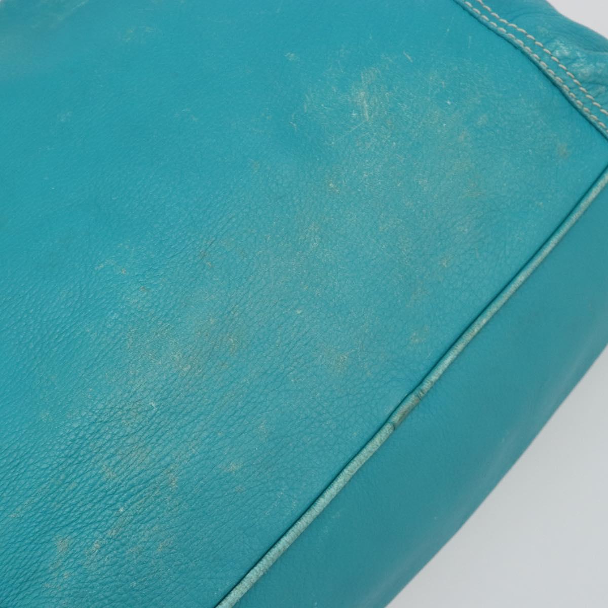 CELINE Tote Bag Leather Blue Gold Auth 189301