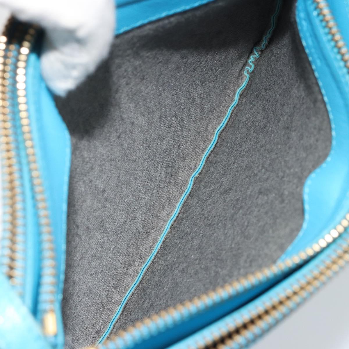 CELINE Trio Shoulder Bag Leather Light Blue Gold Auth 189302