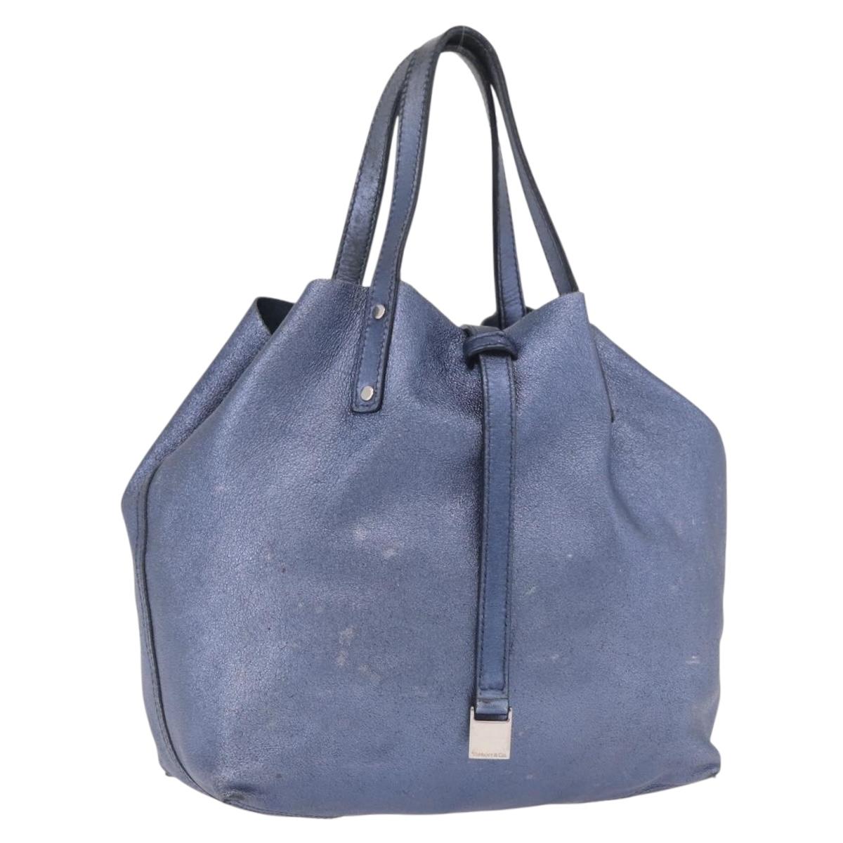TIFFANY&Co. Reversible Hand Bag Suede Leather Blue Auth 189384
